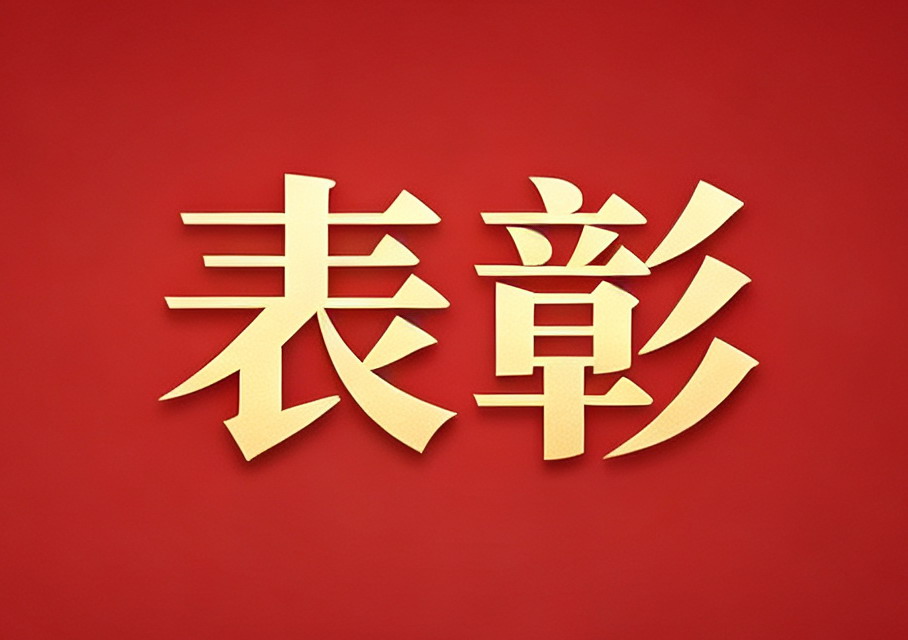 我院获市人力资源和社会保障局直属机关党委 “两优一先”表彰